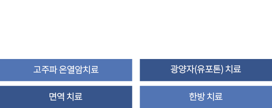 양/한방 암통합치료 프로그램